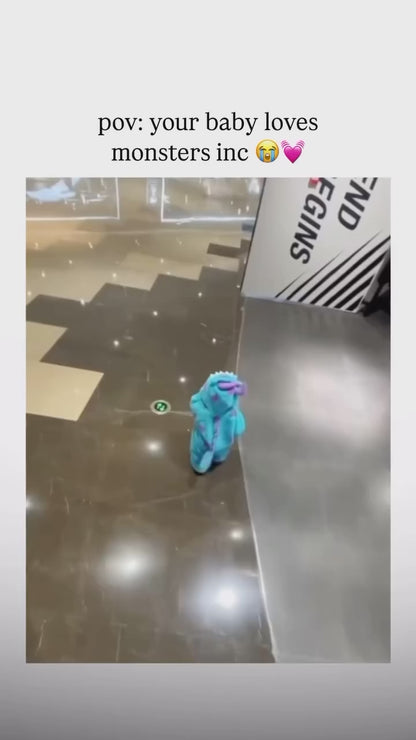 Sulley (Disney Monster's Inc)